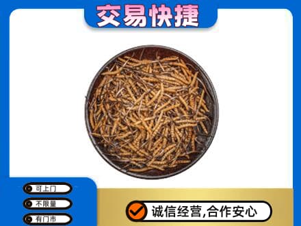 卡若区高价回收散虫草